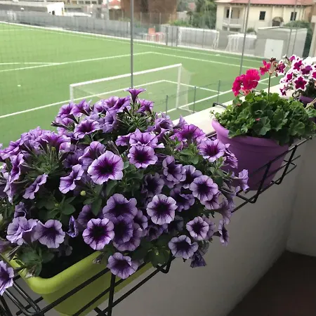 Hz Selvatico * Pordenone